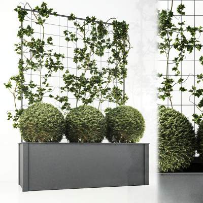 现代绿植盘栽植物墙